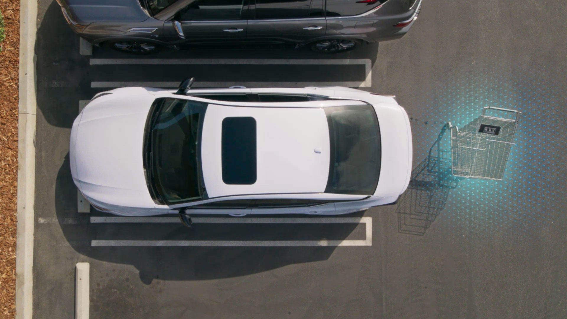 2026 Nissan Altima | Nissan of Garden City in Hempstead, NY